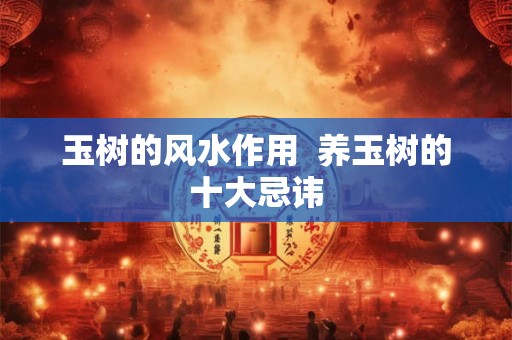 玉树的风水作用  养玉树的十大忌讳