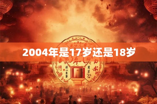 2004年是17岁还是18岁