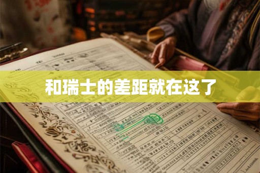 和瑞士的差距就在这了