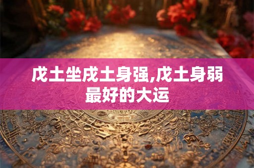 戊土坐戌土身强,戊土身弱最好的大运