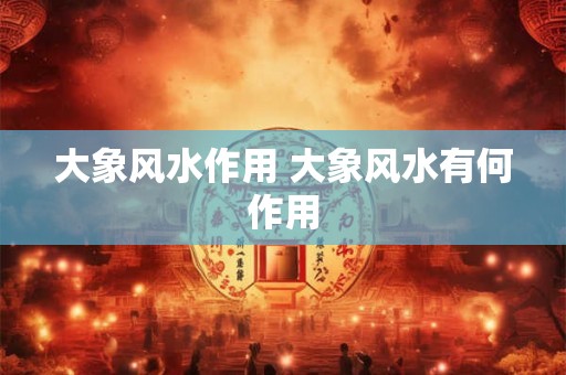 大象风水作用 大象风水有何作用