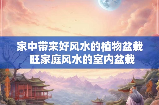 家中带来好风水的植物盆栽  旺家庭风水的室内盆栽