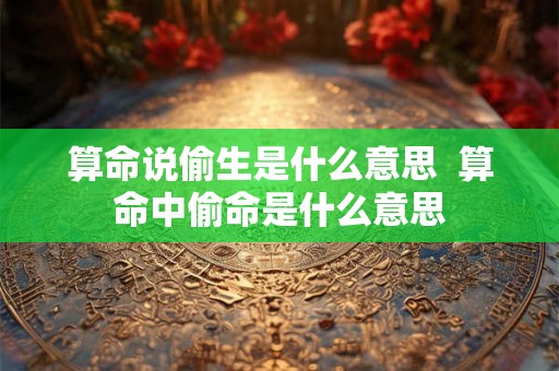 算命说偷生是什么意思  算命中偷命是什么意思