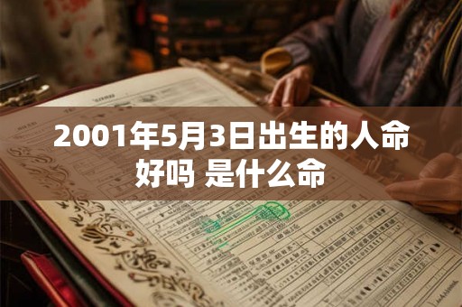 2001年5月3日出生的人命好吗 是什么命