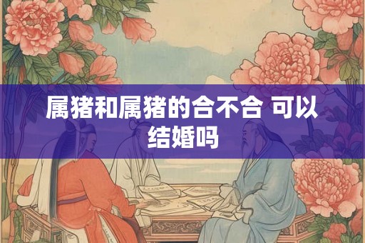 属猪和属猪的合不合 可以结婚吗