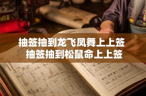 抽签抽到龙飞凤舞上上签  抽签抽到松鼠命上上签