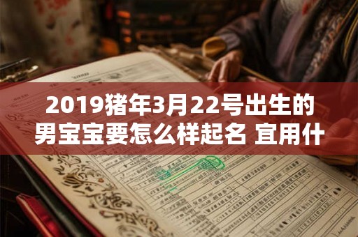 2019猪年3月22号出生的男宝宝要怎么样起名 宜用什么字 2019猪年3月22号出生的男宝宝要怎么样起名 宜用什么字