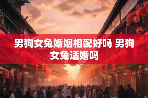 男狗女兔婚姻相配好吗 男狗女兔适婚吗