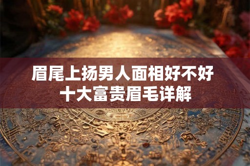 眉尾上扬男人面相好不好 十大富贵眉毛详解