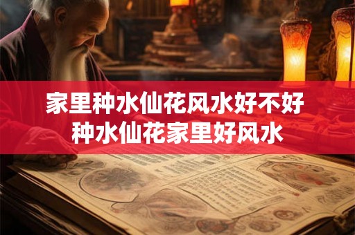 家里种水仙花风水好不好 种水仙花家里好风水