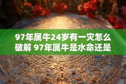 97年属牛24岁有一灾怎么破解 97年属牛是水命还是火命