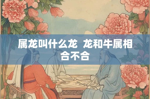 属龙叫什么龙  龙和牛属相合不合