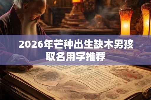 2026年芒种出生缺木男孩取名用字推荐