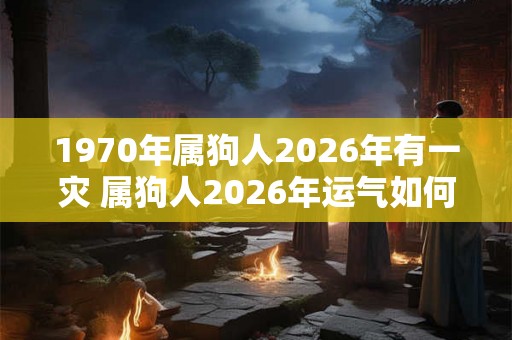 1970年属狗人2026年有一灾 属狗人2026年运气如何