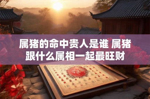 属猪的命中贵人是谁 属猪跟什么属相一起最旺财 属猪的命中贵人是谁 属猪跟什么属相一起最旺财