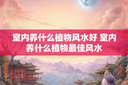 室内养什么植物风水好 室内养什么植物最佳风水