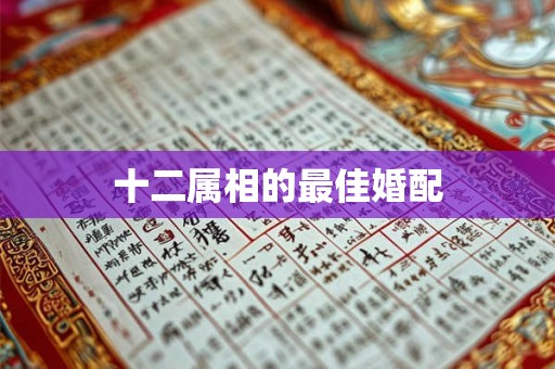 十二属相的最佳婚配