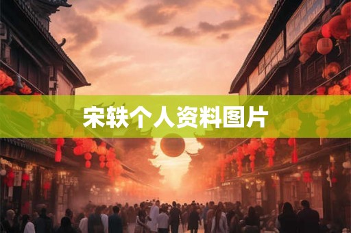 宋轶个人资料图片