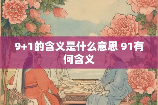 9+1的含义是什么意思 91有何含义
