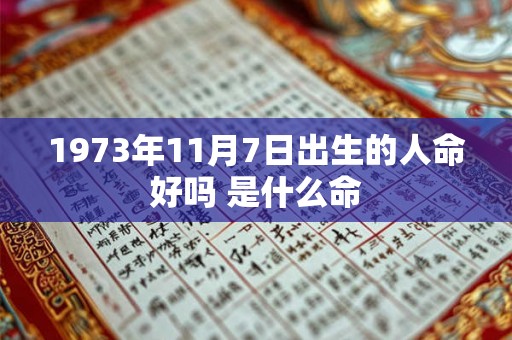 1973年11月7日出生的人命好吗 是什么命