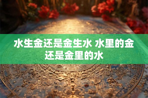 水生金还是金生水 水里的金还是金里的水
