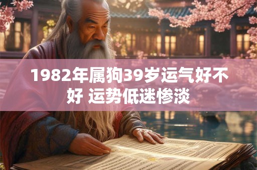 1982年属狗39岁运气好不好 运势低迷惨淡 1982年属狗39岁运气好不好 运势低迷惨淡
