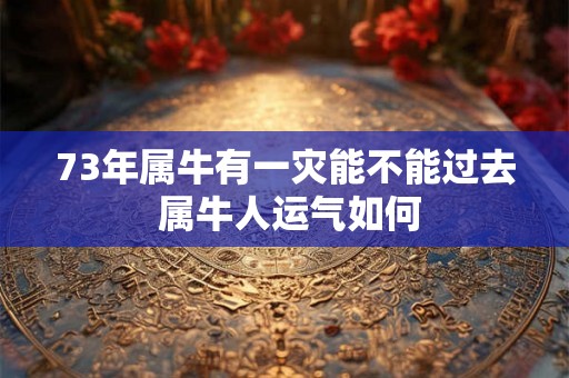 73年属牛有一灾能不能过去 属牛人运气如何
