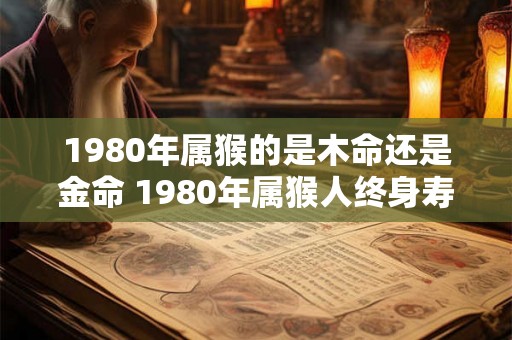 1980年属猴的是木命还是金命 1980年属猴人终身寿命