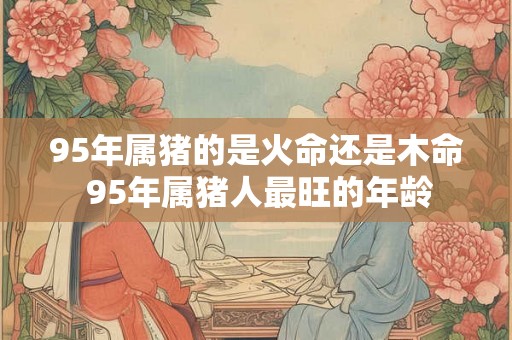95年属猪的是火命还是木命 95年属猪人最旺的年龄