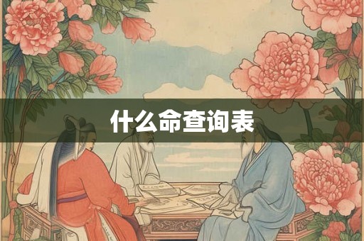 什么命查询表