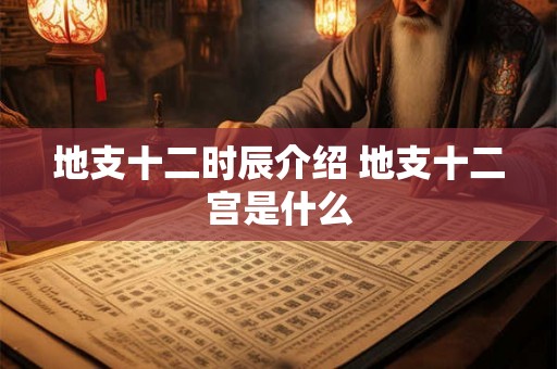地支十二时辰介绍 地支十二宫是什么