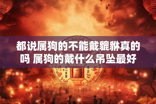 都说属狗的不能戴貔貅真的吗 属狗的戴什么吊坠最好
