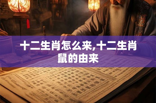 十二生肖怎么来,十二生肖鼠的由来