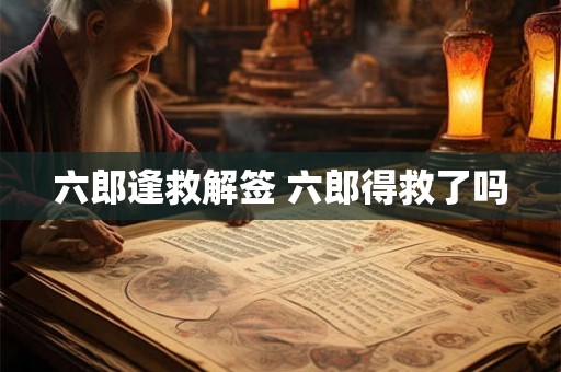 六郎逢救解签 六郎得救了吗