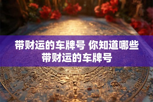 带财运的车牌号 你知道哪些带财运的车牌号
