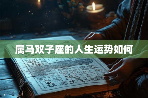 属马双子座的人生运势如何