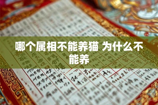 哪个属相不能养猫 为什么不能养