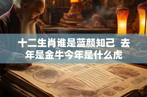 十二生肖谁是蓝颜知己 去年是金牛今年是什么虎 十二生肖谁是蓝颜知己 去年是金牛今年是什么虎