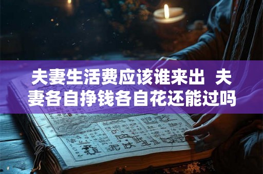 夫妻生活费应该谁来出  夫妻各自挣钱各自花还能过吗