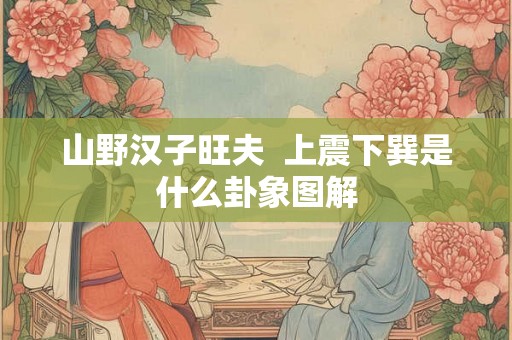 山野汉子旺夫 上震下巽是什么卦象图解 山野汉子旺夫 上震下巽是什么卦象图解