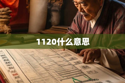 1120什么意思