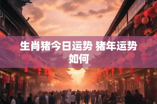 生肖猪今日运势 猪年运势如何