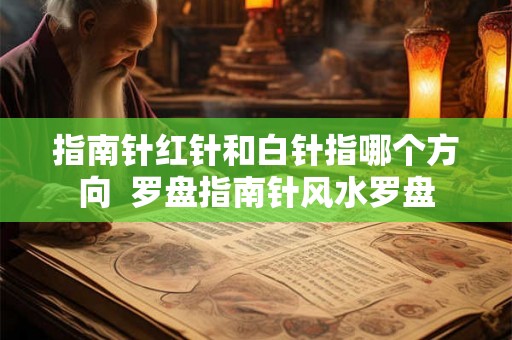 指南针红针和白针指哪个方向 罗盘指南针风水罗盘 指南针红针和白针指哪个方向 罗盘指南针风水罗盘