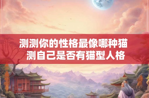 测测你的性格最像哪种猫  测自己是否有猫型人格
