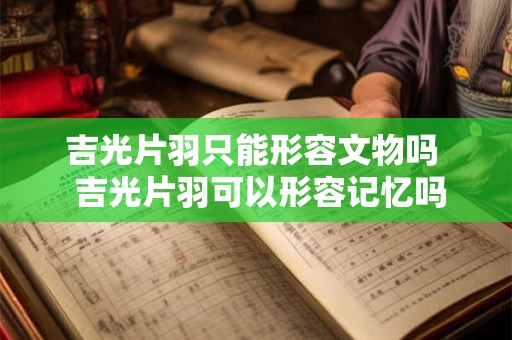 吉光片羽只能形容文物吗  吉光片羽可以形容记忆吗
