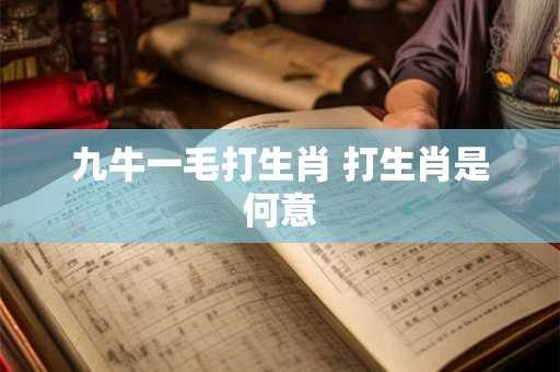 九牛一毛打生肖 打生肖是何意