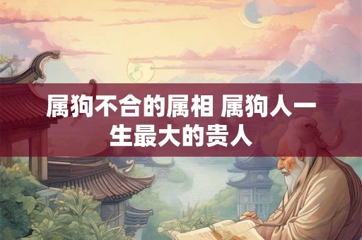 属狗不合的属相 属狗人一生最大的贵人