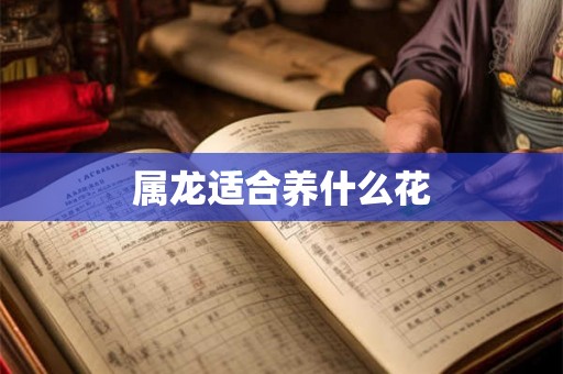属龙适合养什么花