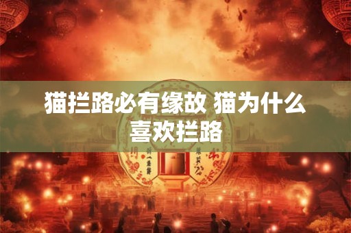 猫拦路必有缘故 猫为什么喜欢拦路