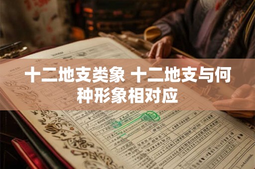 十二地支类象 十二地支与何种形象相对应 十二地支类象 十二地支与何种形象相对应